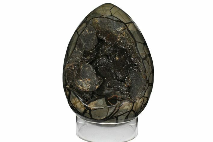 Septarian Dragon Egg Geode ( Lbs) - Black Crystals #124502